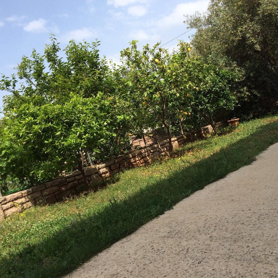 קסאמיל Villa Roku מראה חיצוני תמונה